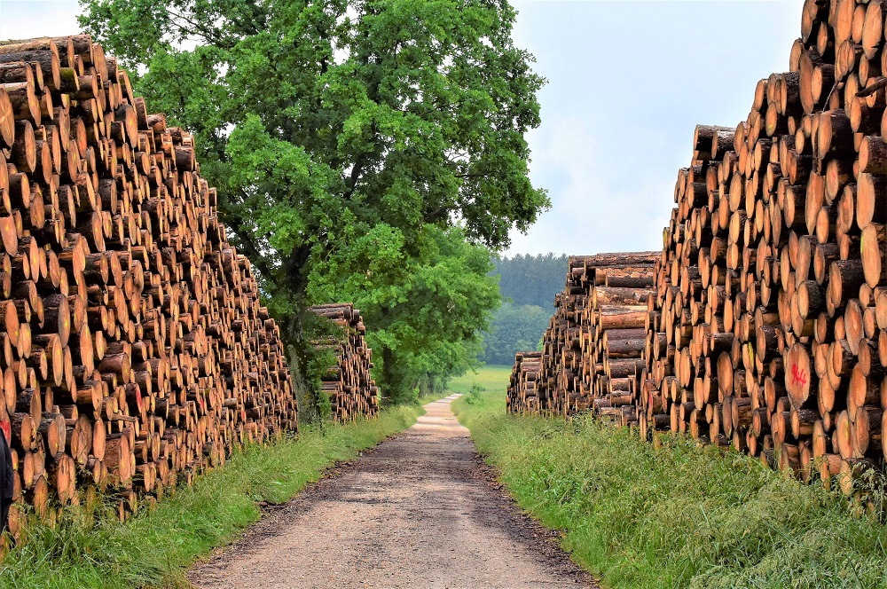 Pulp, Paper & Wood Handling